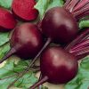 Savage Fresh Loose Beetroot 500g