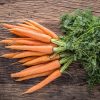 Savage Heatherton Fresh Carrot Bunch