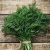 Butlers Heatherton Fresh Dill Bunch