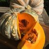 Jap (Kent) Pumpkin 1kg