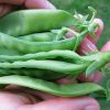 Snow Peas - New Season 250g